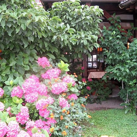 Guest House Zlatibor 부드바 외부 사진