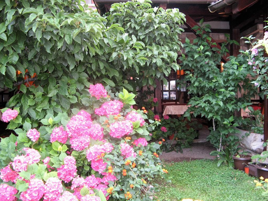 Guest House Zlatibor 부드바 외부 사진